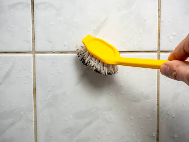 Best Residential Mold Removal  in Two Harbors, MN