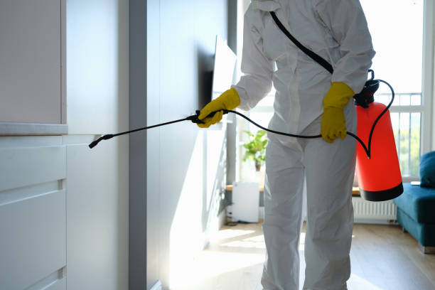 Best Toxic Mold Removal  in Two Harbors, MN